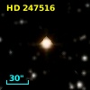 HD 247516