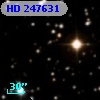 HD 247631