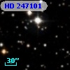 HD 247101