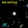 HD 247124