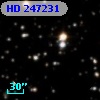 HD 247231