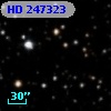 HD 247323