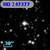HD 247377