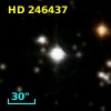 HD 246437