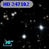 HD 247102