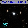 TYC 2404-1175-1