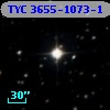 TYC 3655-1073-1