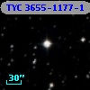 TYC 3655-1177-1