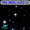 TYC 3655-1272-1
