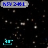 NSV  2481