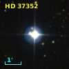 HD  37352