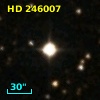 HD 246007