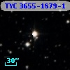TYC 3655-1879-1