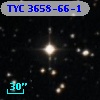 TYC 3658-66-1