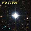 HD  37800