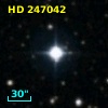 HD 247042