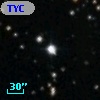 TYC 1874-833-1