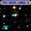TYC 3658-2066-1