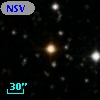 NSV  2444