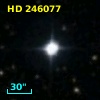 HD 246077