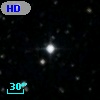 HD 245500