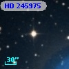 HD 245975