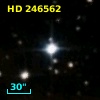 HD 246562