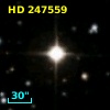 HD 247559
