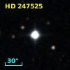 HD 247525