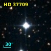 HD  37709