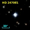 HD 247081