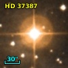 HD  37387