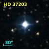 HD  37203