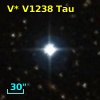 V* V1238 Tau