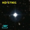 HD  37901