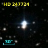 HD 247724