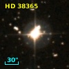 HD  38365