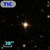 TYC 1311-3162-1