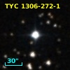 TYC 1306-272-1