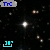 TYC 1307-335-1