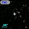 TYC 1307-412-1