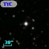 TYC 1310-275-1