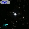 TYC 1310-883-1