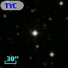 TYC 1310-905-1