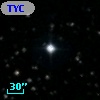 TYC 1310-960-1
