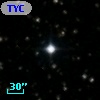 TYC 1310-1942-1