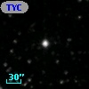 TYC 1310-2135-1