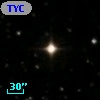 TYC 1310-2173-1