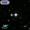 TYC 1310-2575-1
