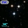 TYC 1310-2629-1
